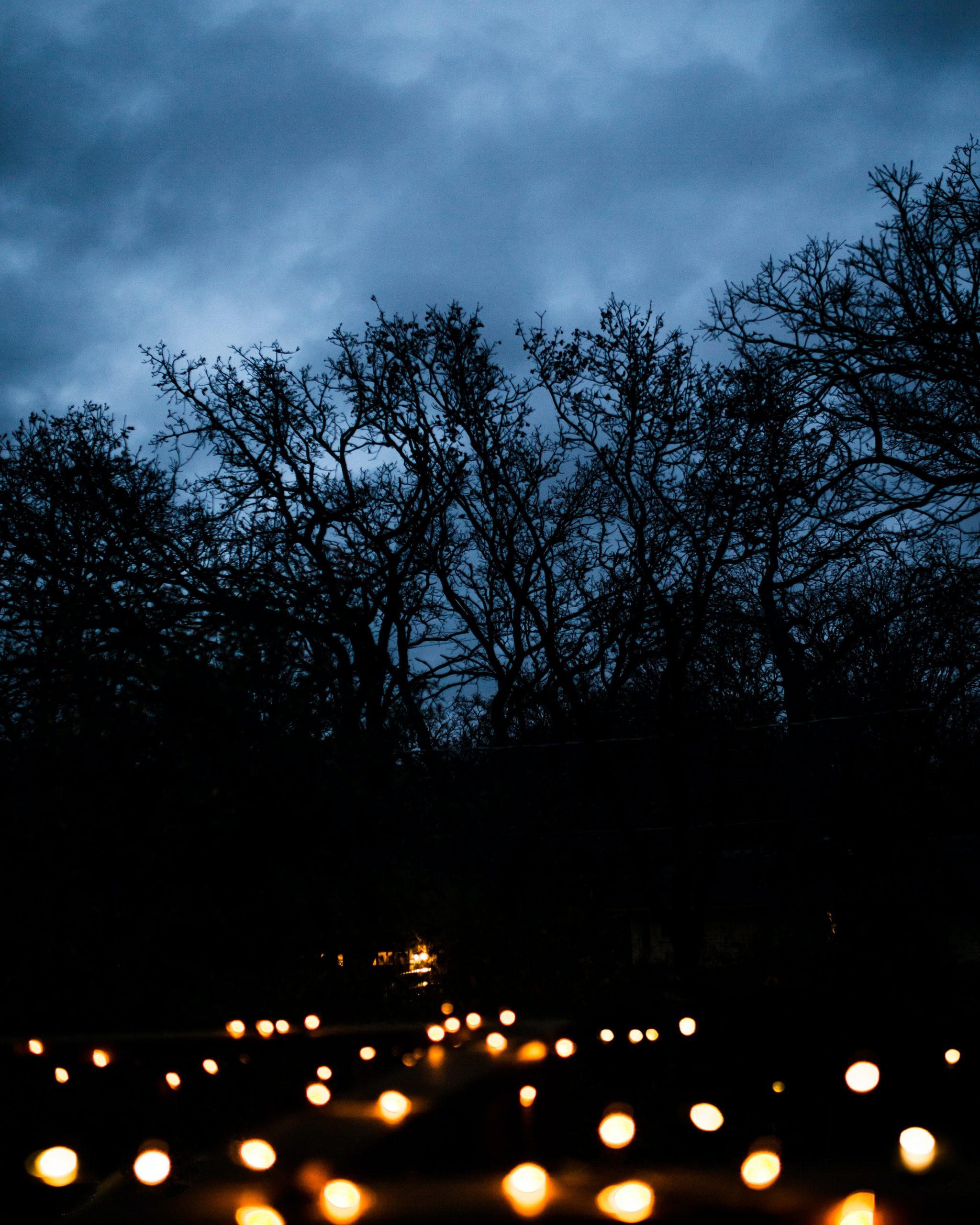 Photographie d'un étroit sentier menant à une forêt sombre, la nuit. Le chemin est bordé de bougies chauffe-plat scintillantes, et les arbres de la forêt se détachent sur un ciel sombre et nuageux.