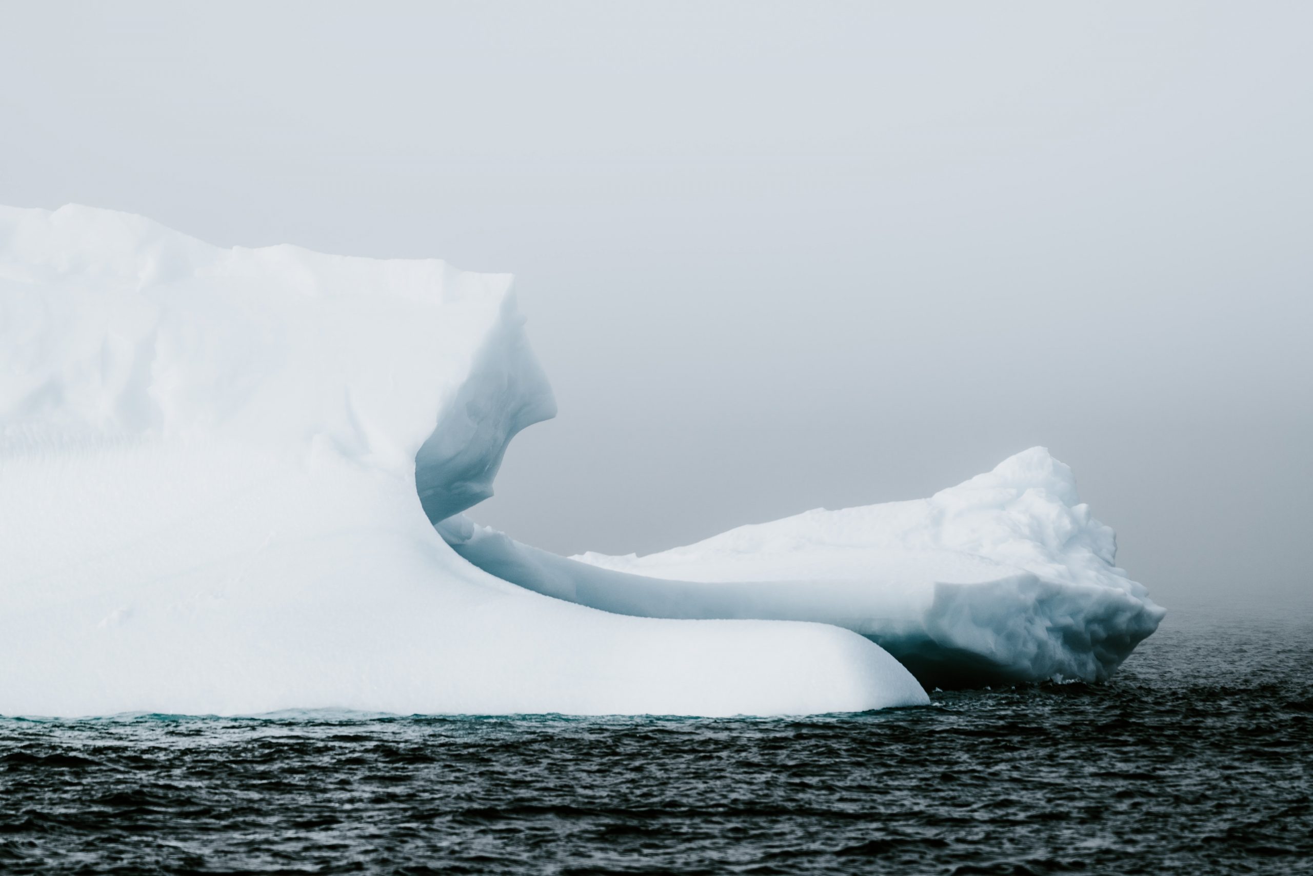Une photographie de deux grands icebergs blancs reposant dans un océan froid et bleu foncé. Le ciel est d'un gris brumeux.